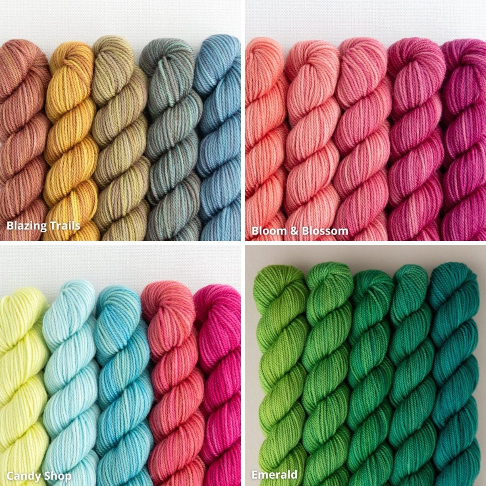 Sweet Georgia Yarns Sweet Georgia Party of Five Tough Love Sock