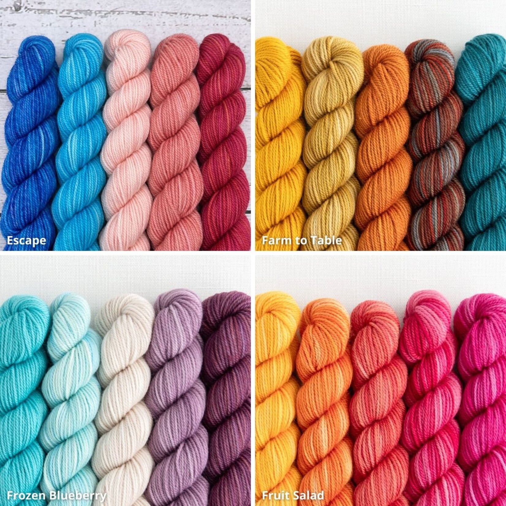 Sweet Georgia Yarns Sweet Georgia Party of Five Tough Love Sock
