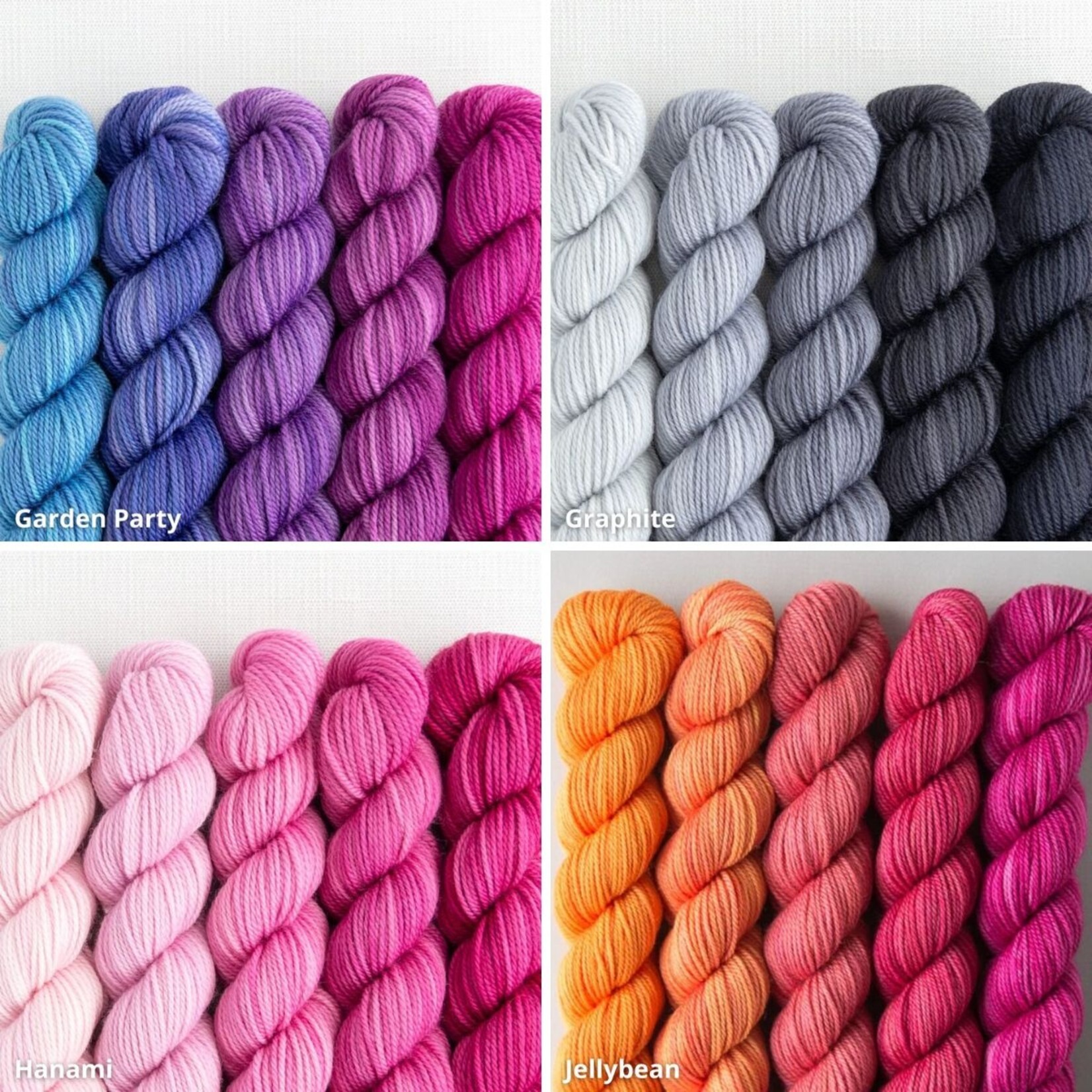 Sweet Georgia Yarns Sweet Georgia Party of Five Tough Love Sock
