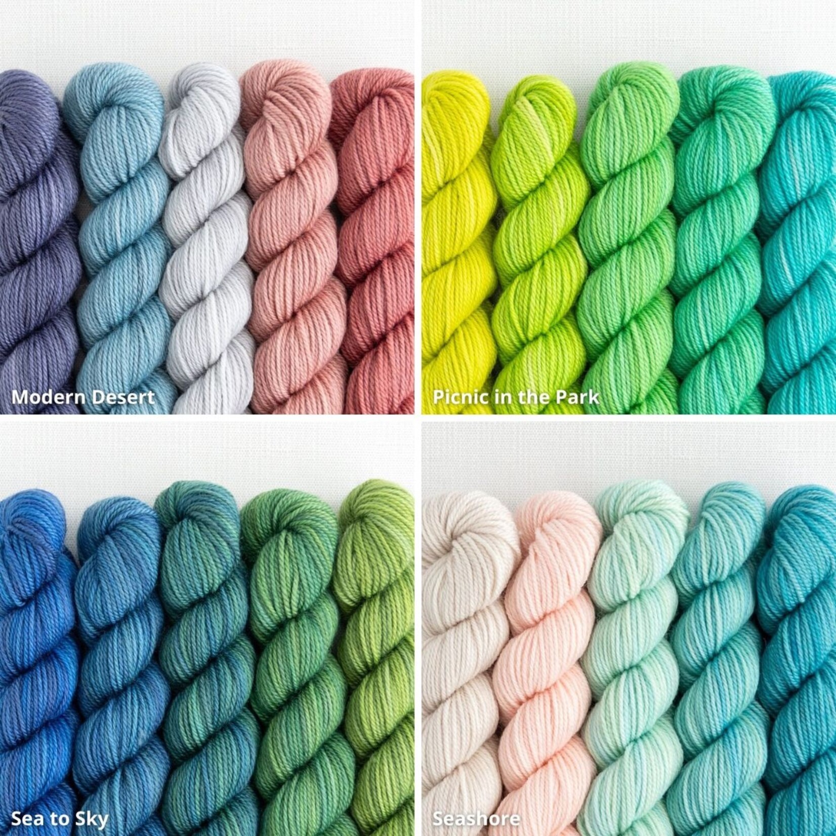 Sweet Georgia Yarns Sweet Georgia Party of Five Tough Love Sock