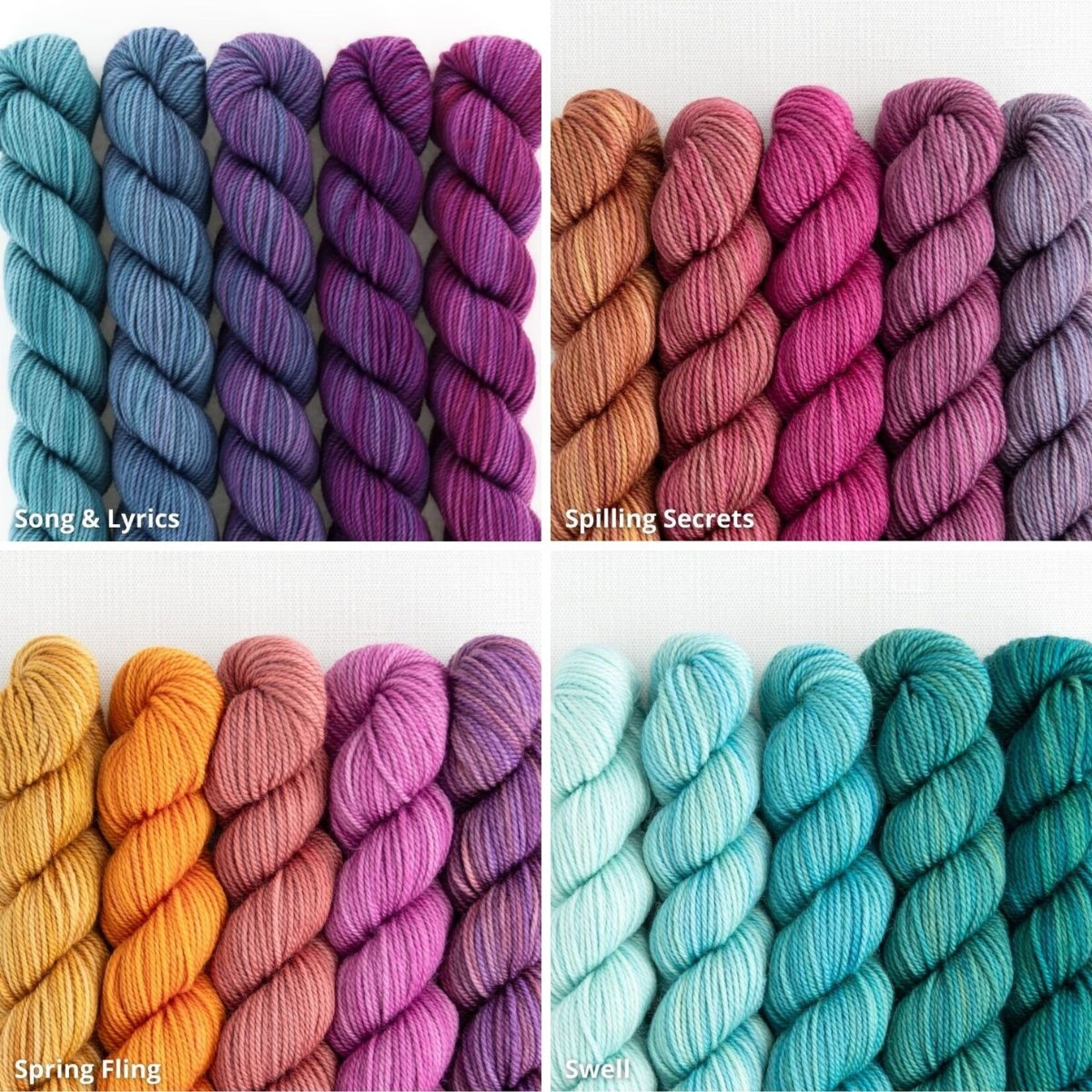 Sweet Georgia Yarns Sweet Georgia Party of Five Tough Love Sock