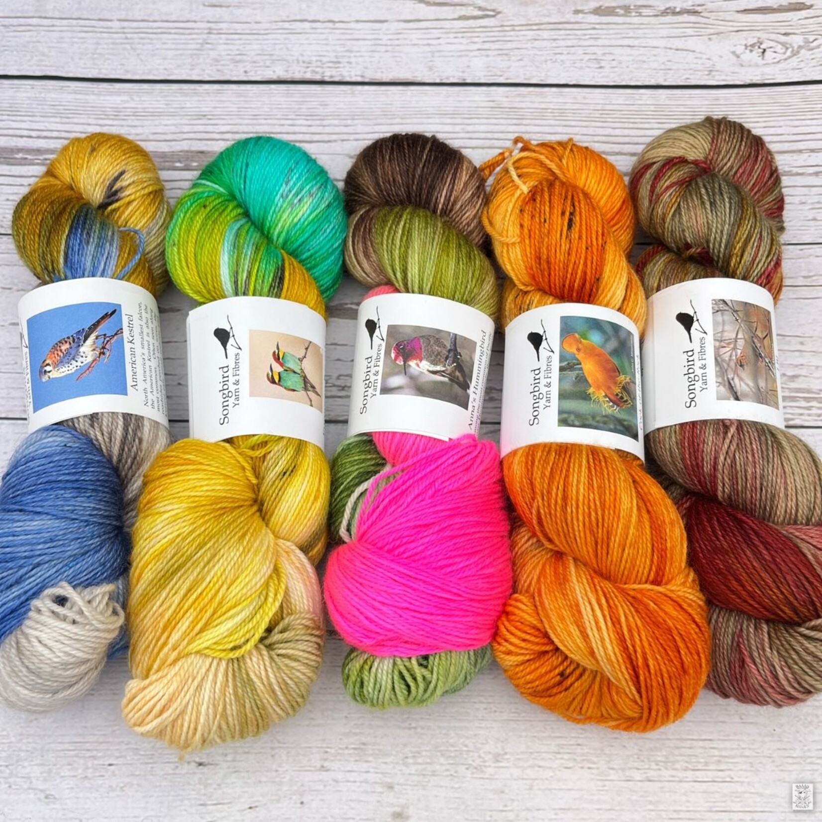 Songbird Yarn & Fibres Songbird Yarn & Fibres Sock