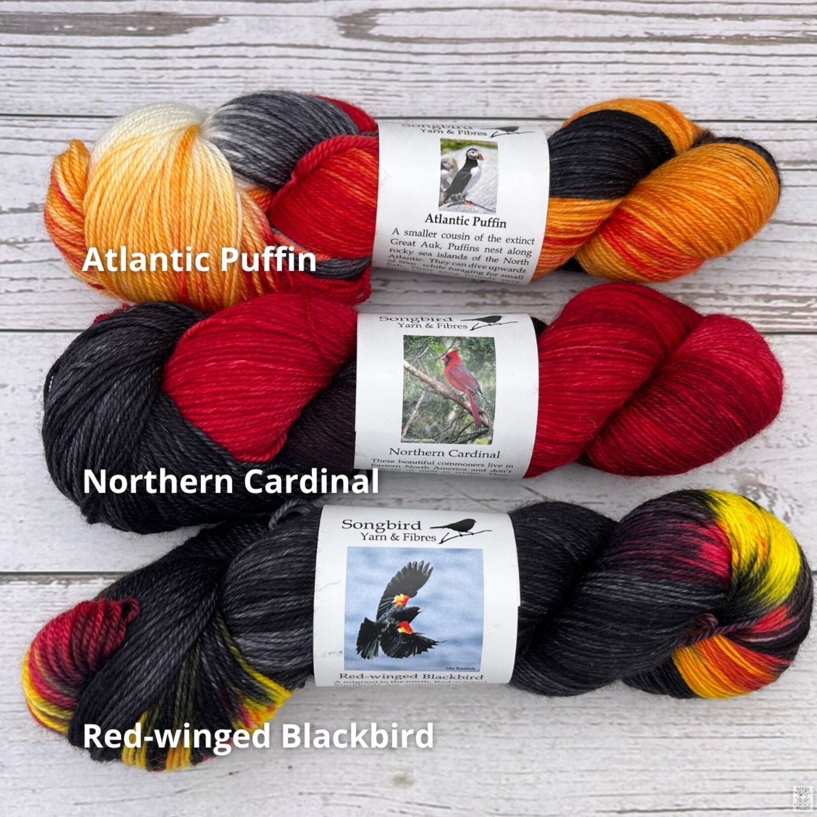 Songbird Yarn & Fibres Songbird Yarn & Fibres Sock