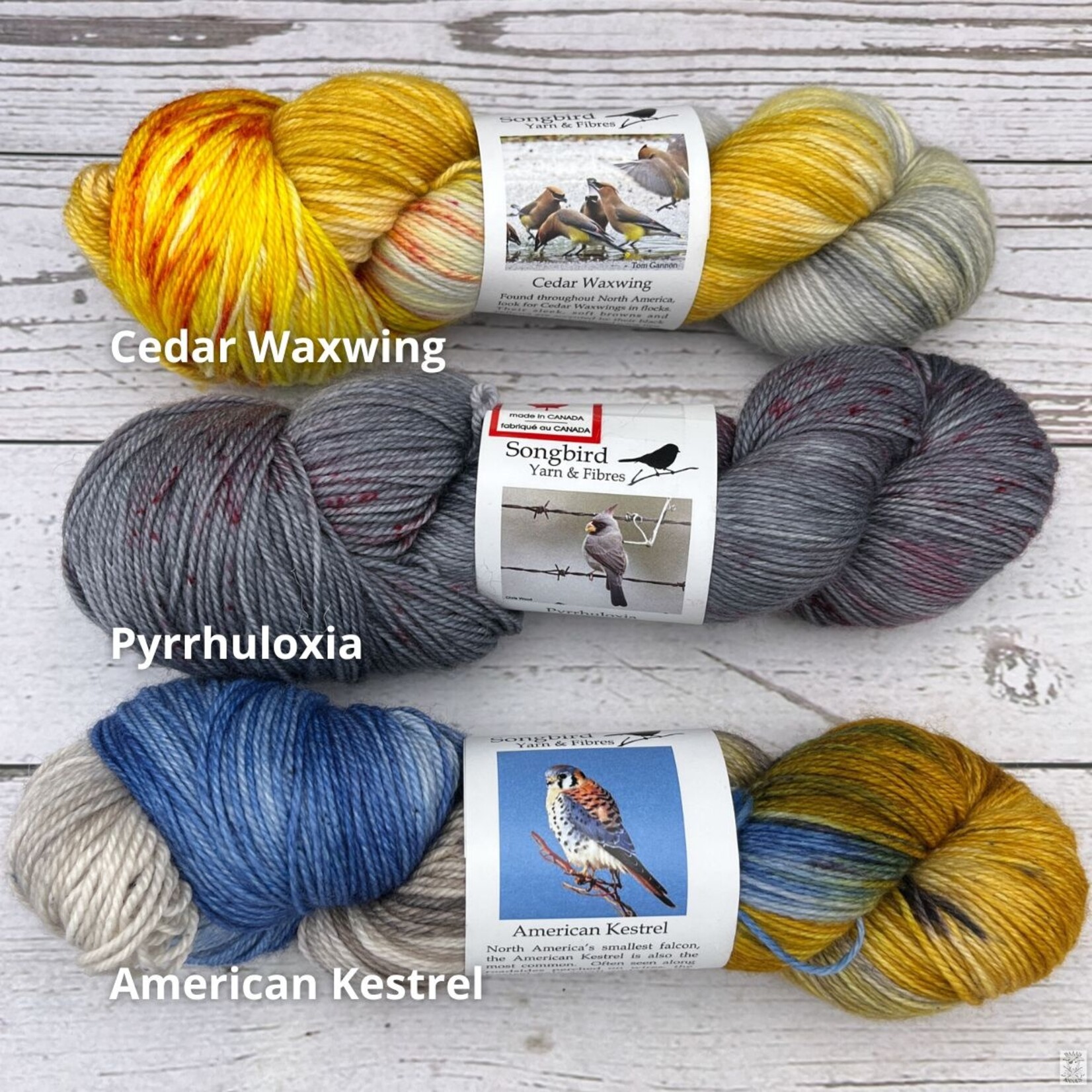 Songbird Yarn & Fibres Songbird Yarn & Fibres Sock