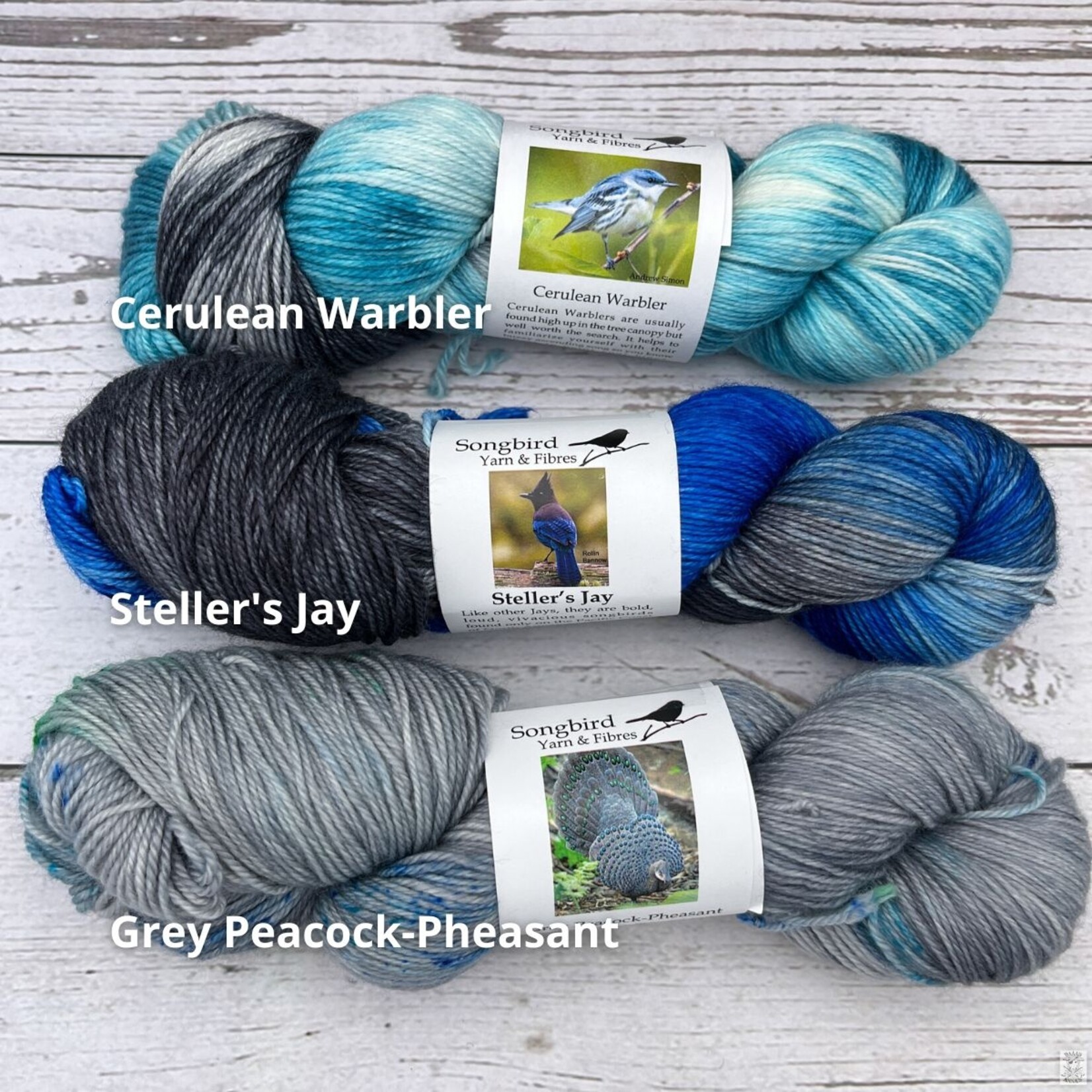 Songbird Yarn & Fibres Songbird Yarn & Fibres Sock