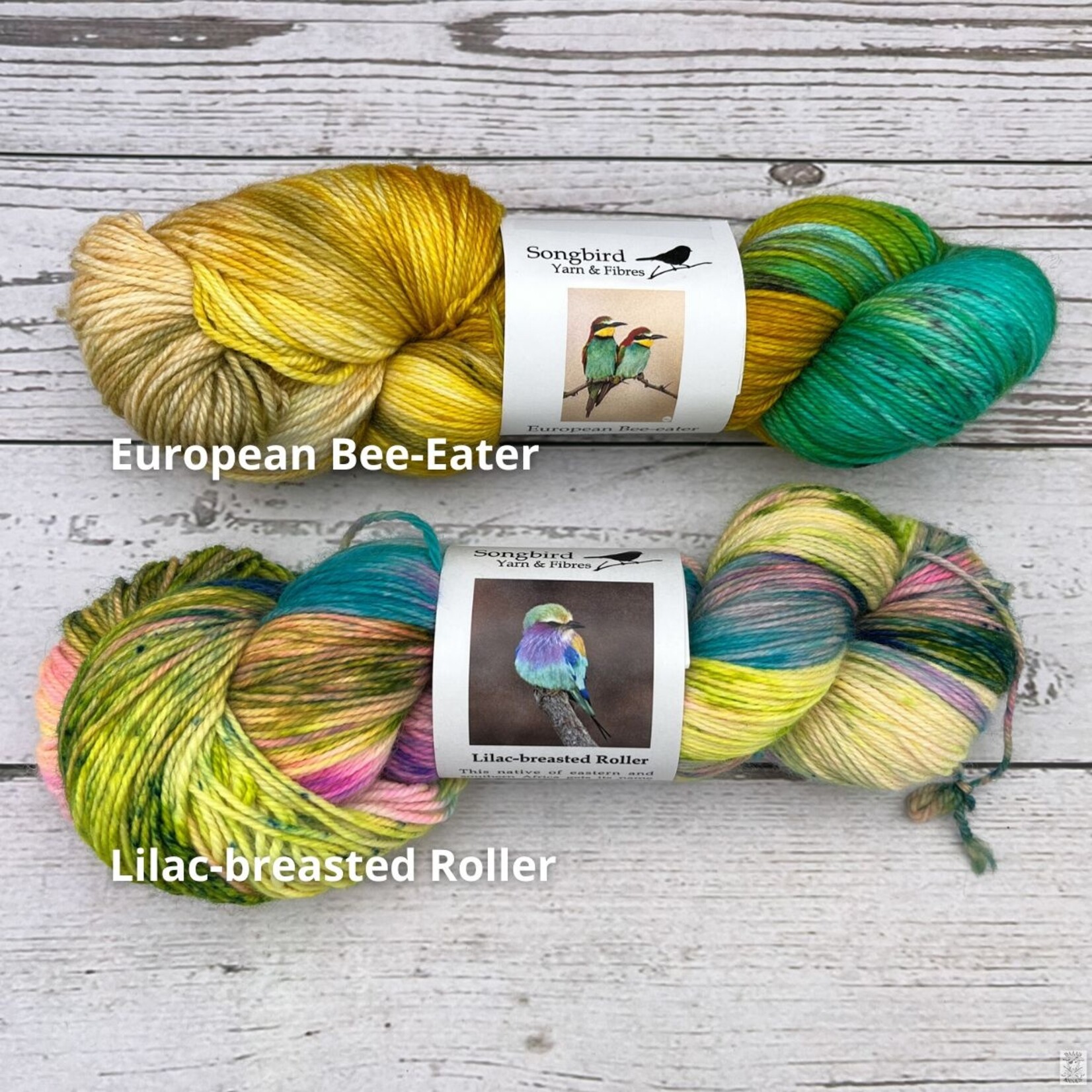 Songbird Yarn & Fibres Songbird Yarn & Fibres Sock