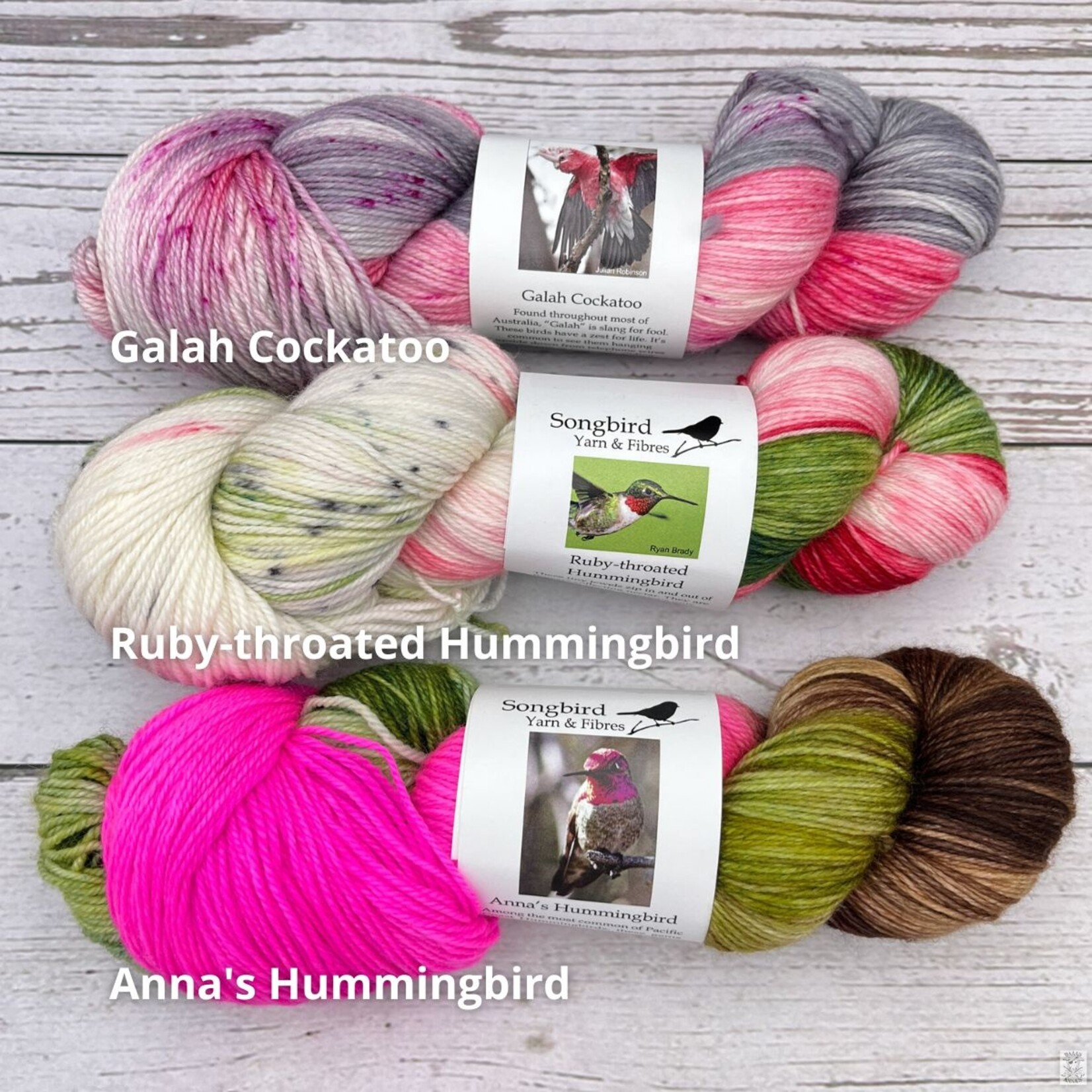 Songbird Yarn & Fibres Songbird Yarn & Fibres Sock