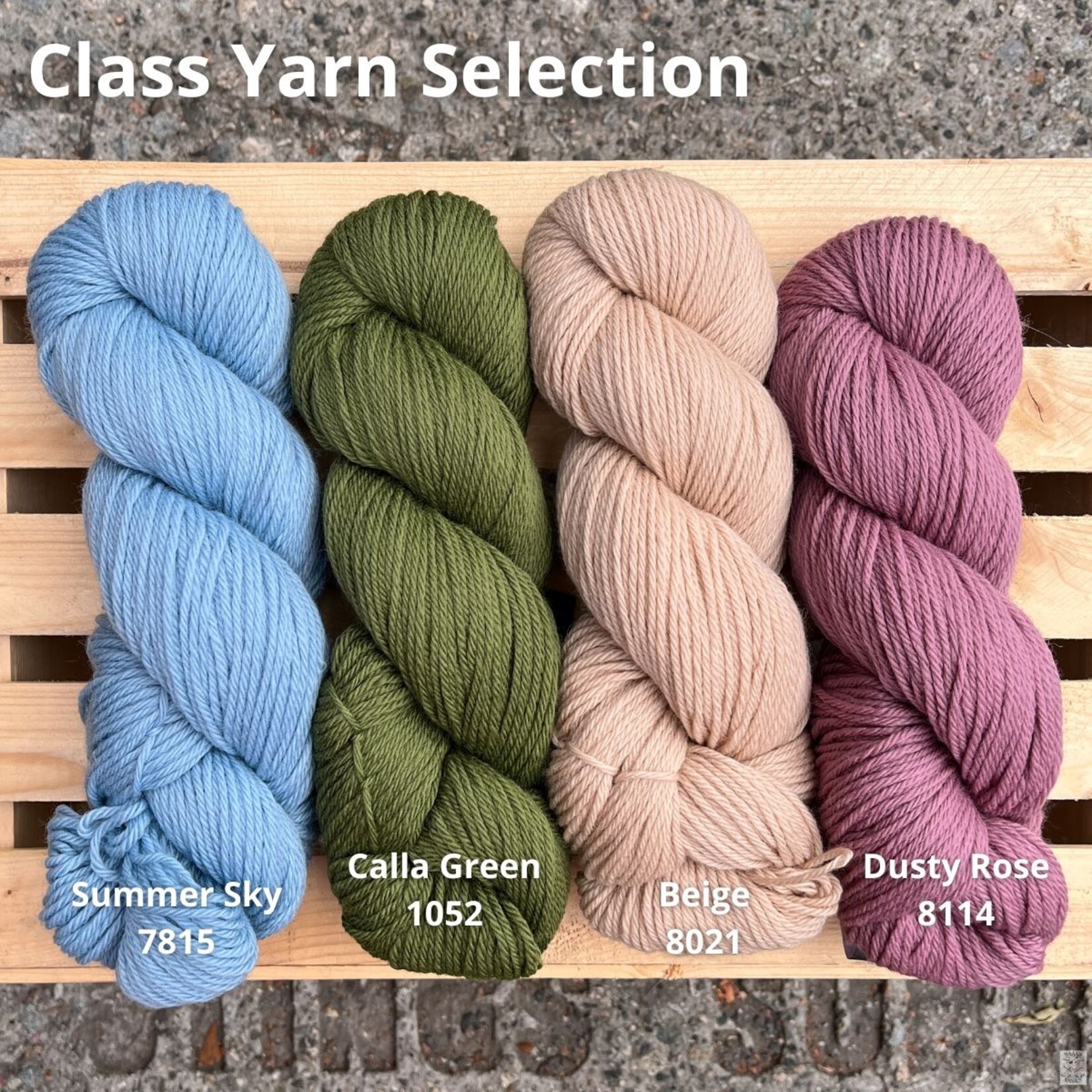 Beginner Knitting with Jackie Blackmore
