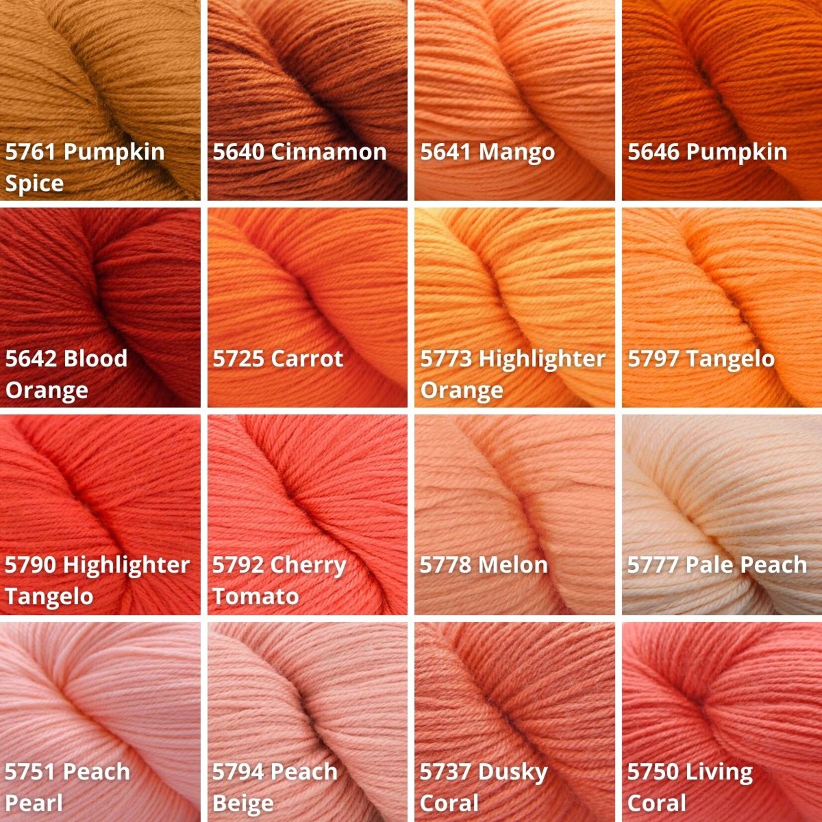 Cascade Cascade Heritage Sock