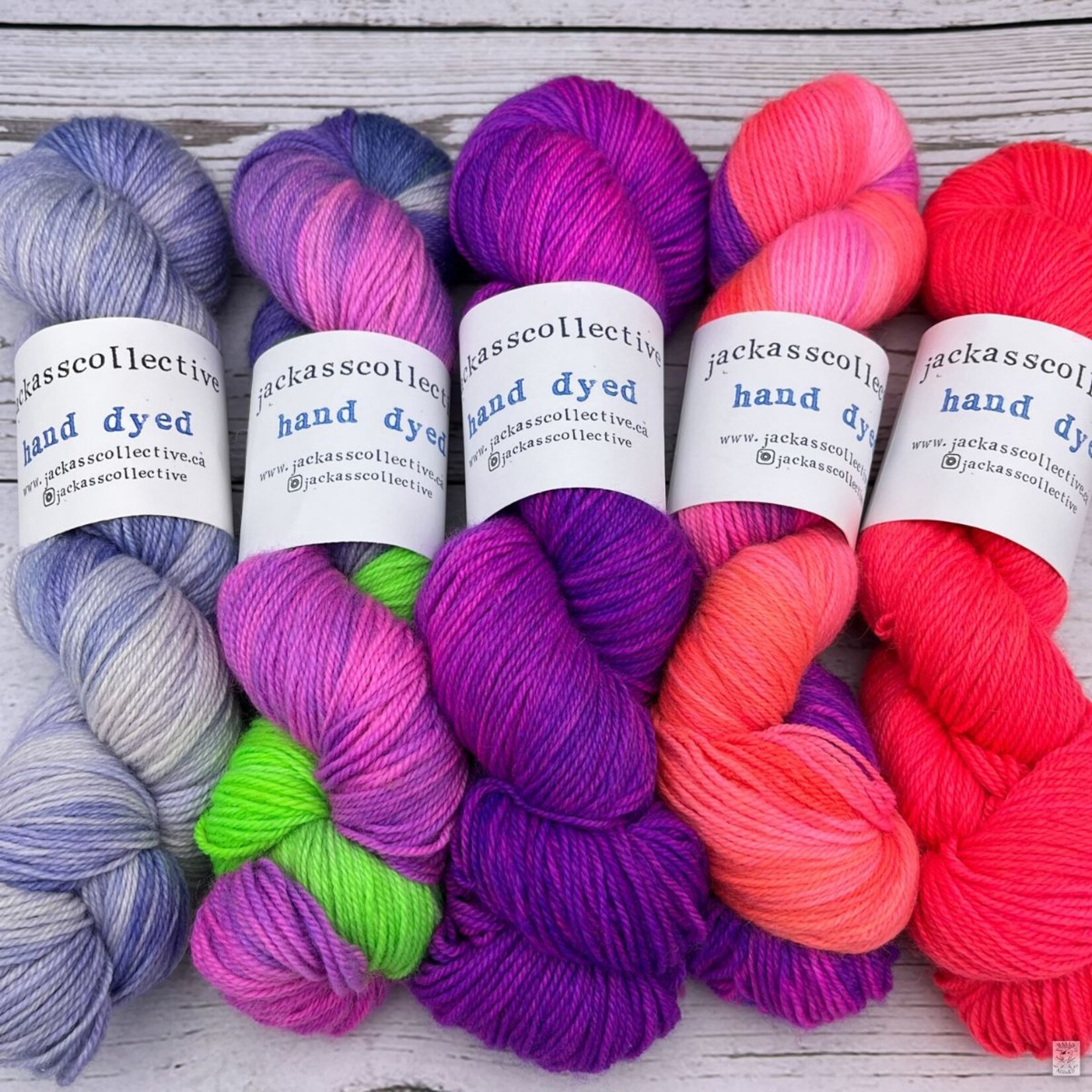 Jackass Collective Jackass Collective BFL Sock