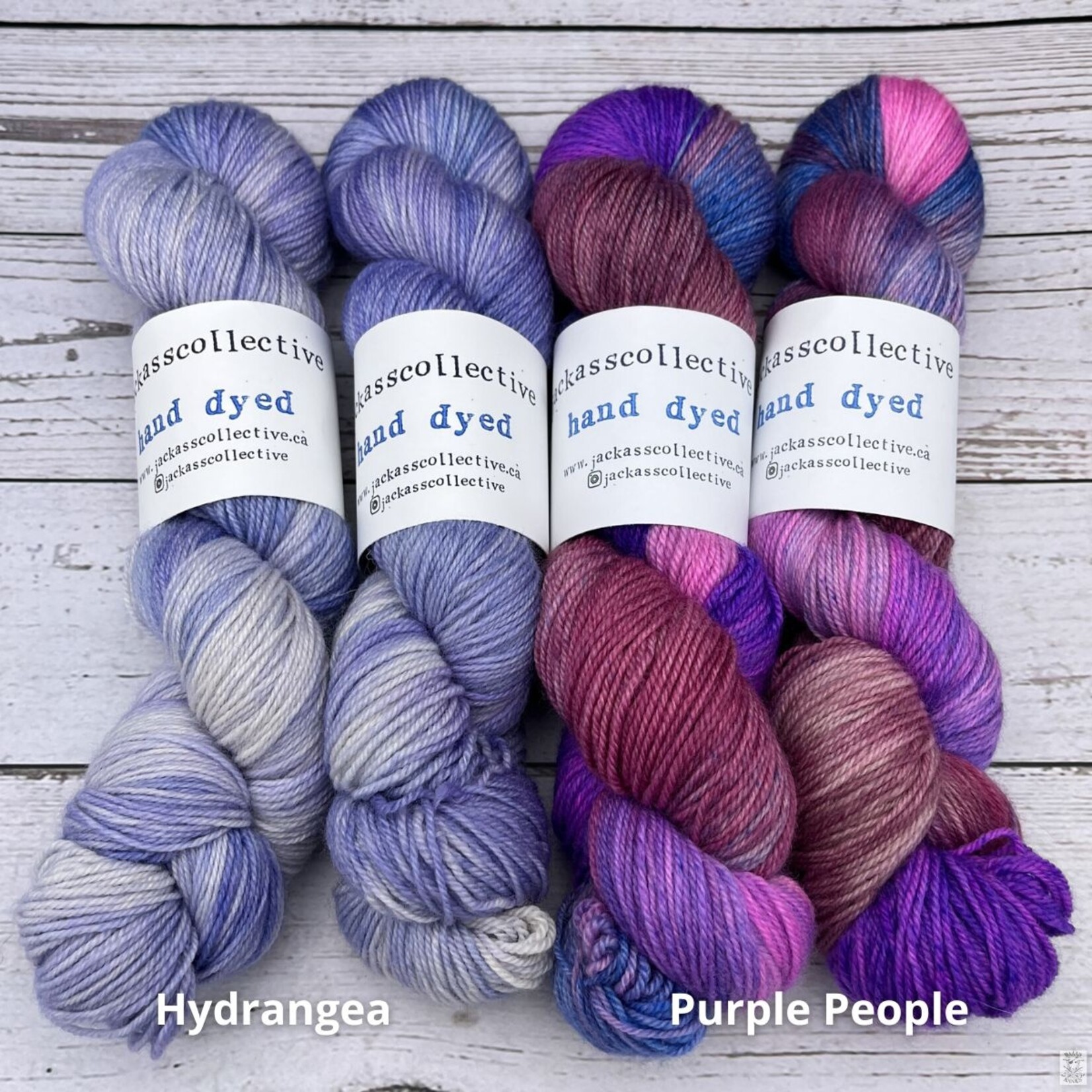 Jackass Collective Jackass Collective BFL Sock