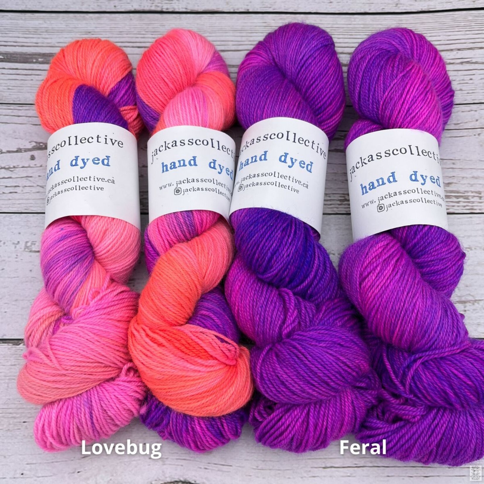 Jackass Collective Jackass Collective BFL Sock