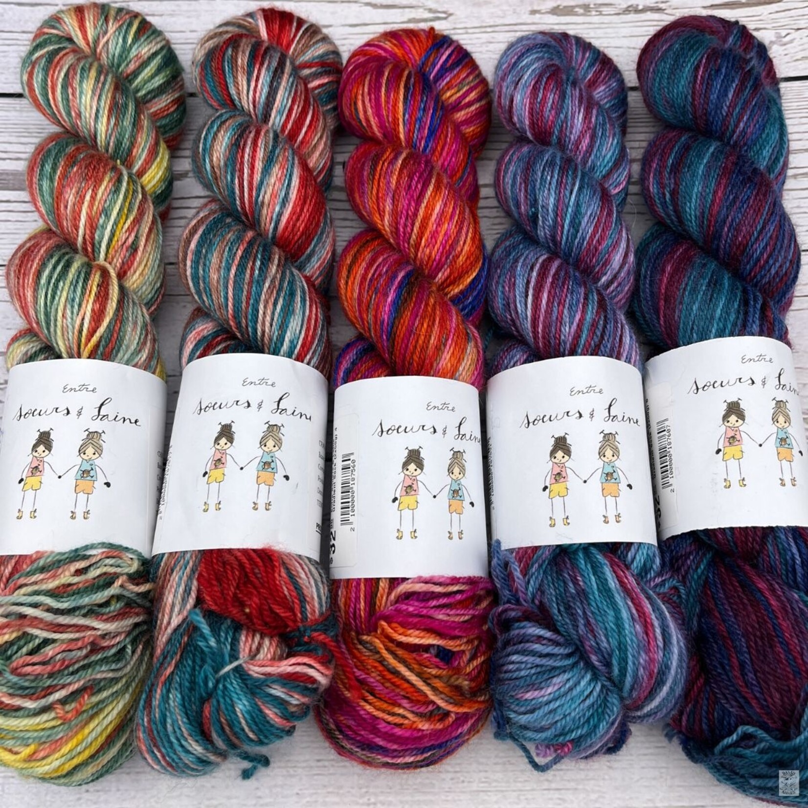 Entre Soeurs & Laine Entre Soeurs & Laine Gradient Sock (2x50g)