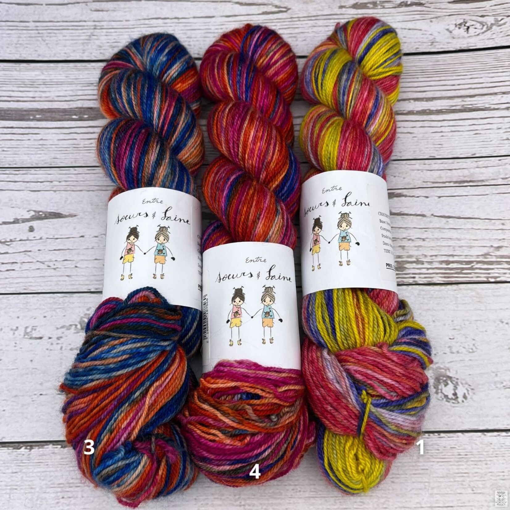 Entre Soeurs & Laine Entre Soeurs & Laine Gradient Sock (2x50g)
