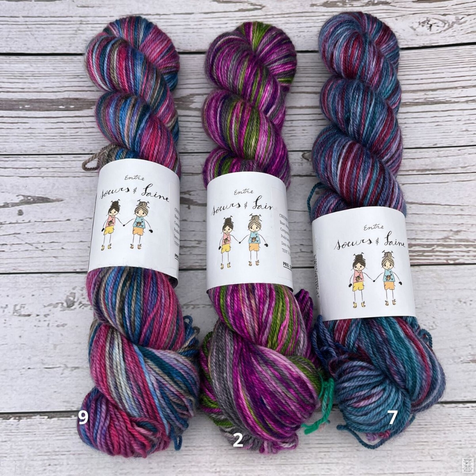 Entre Soeurs & Laine Entre Soeurs & Laine Gradient Sock (2x50g)