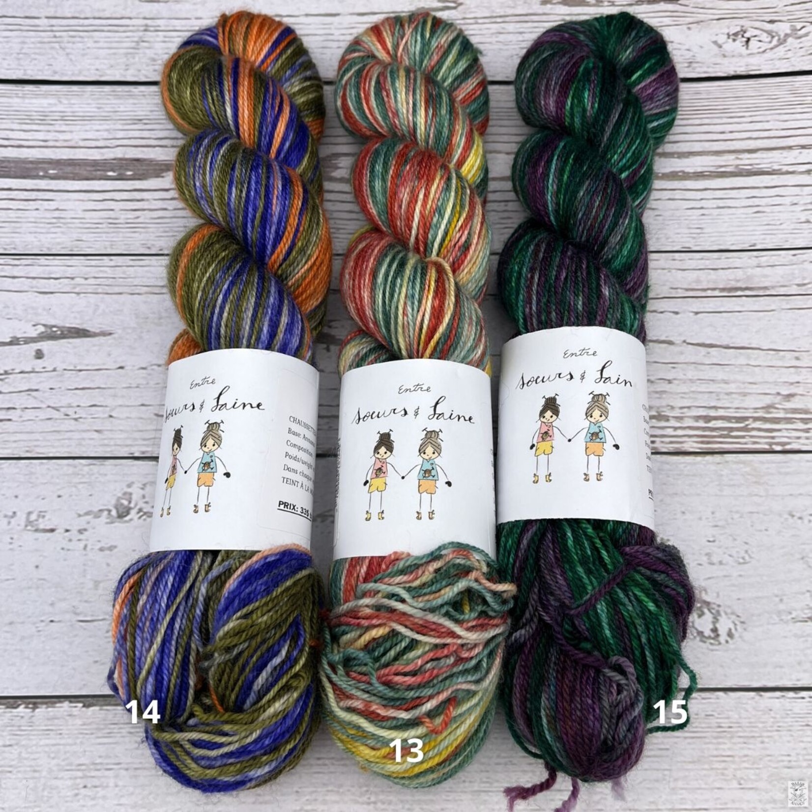 Entre Soeurs & Laine Entre Soeurs & Laine Gradient Sock (2x50g)