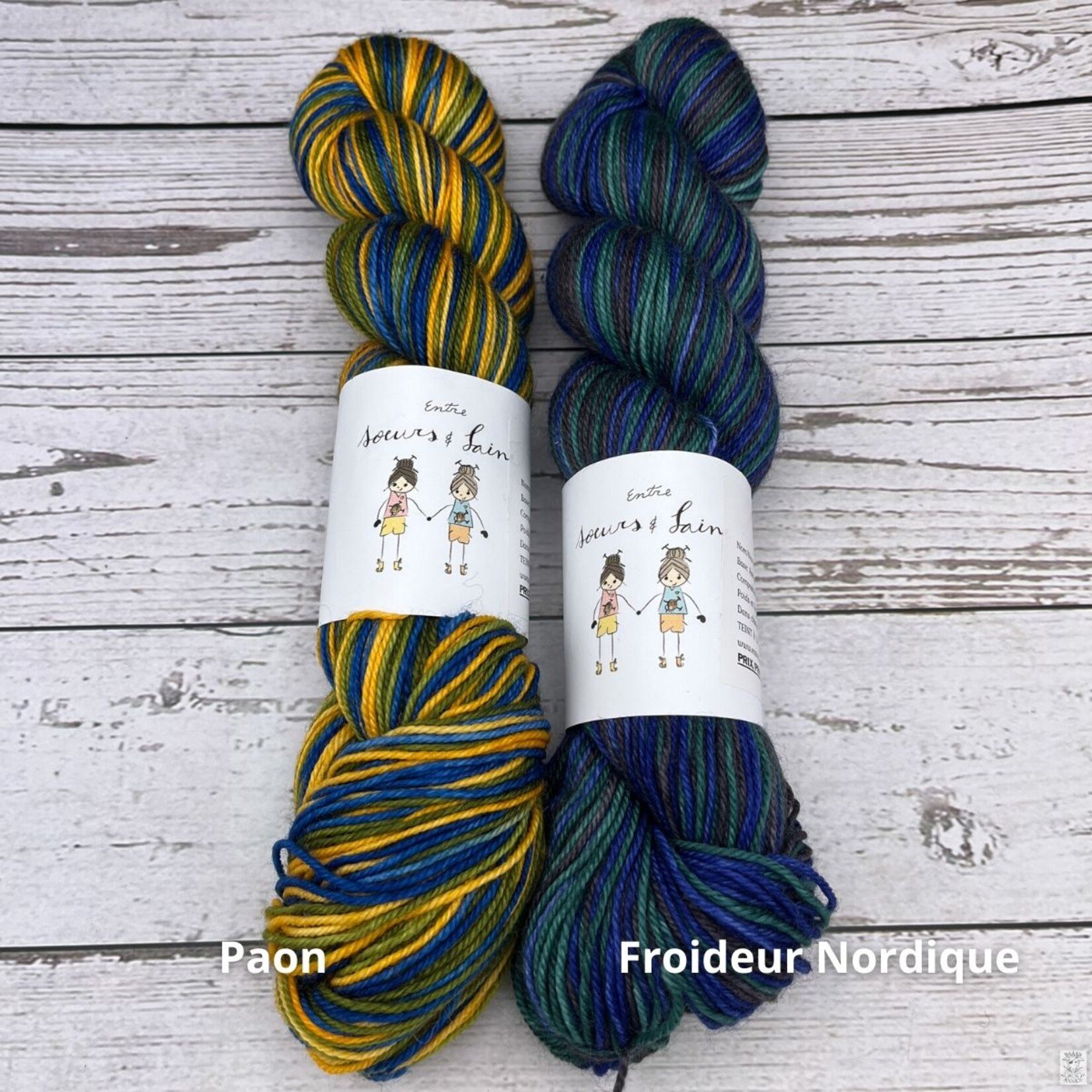 Entre Soeurs & Laine Entre Soeurs & Laine Self Striping Sock (2x50g)