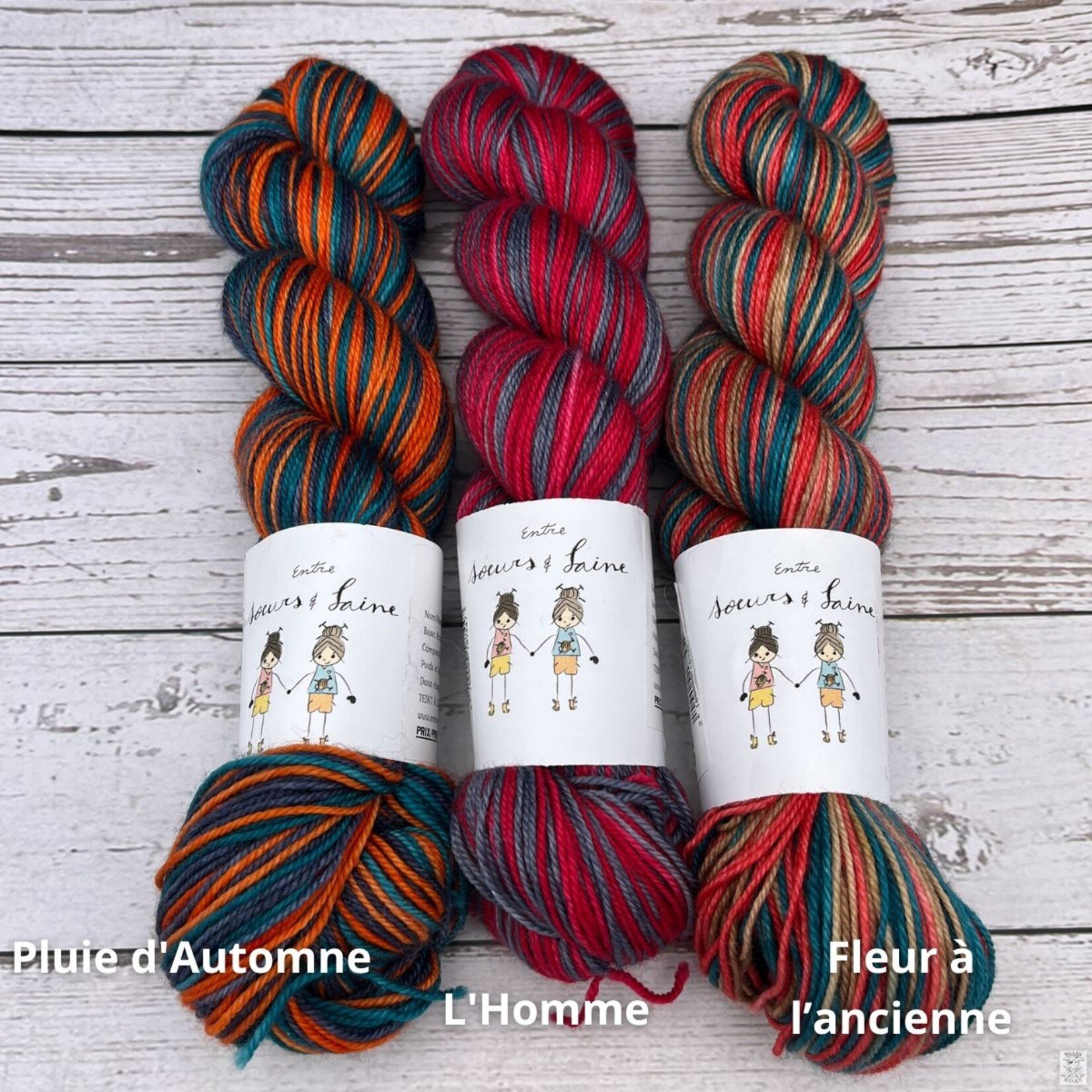 Entre Soeurs & Laine Entre Soeurs & Laine Self Striping Sock (2x50g)