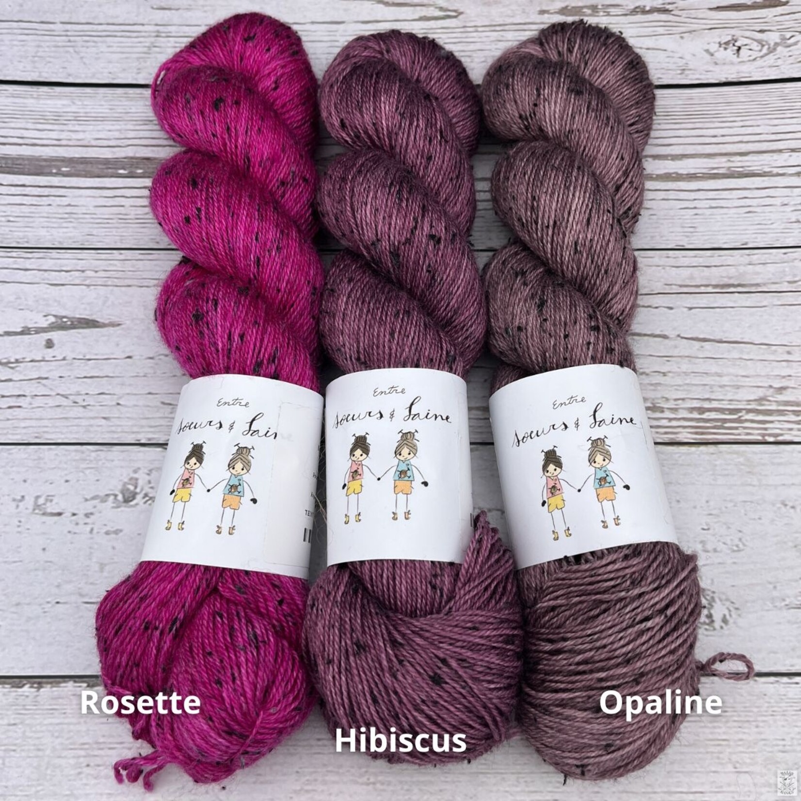 Entre Soeurs & Laine Entre Soeurs & Laine Tweed Fingering