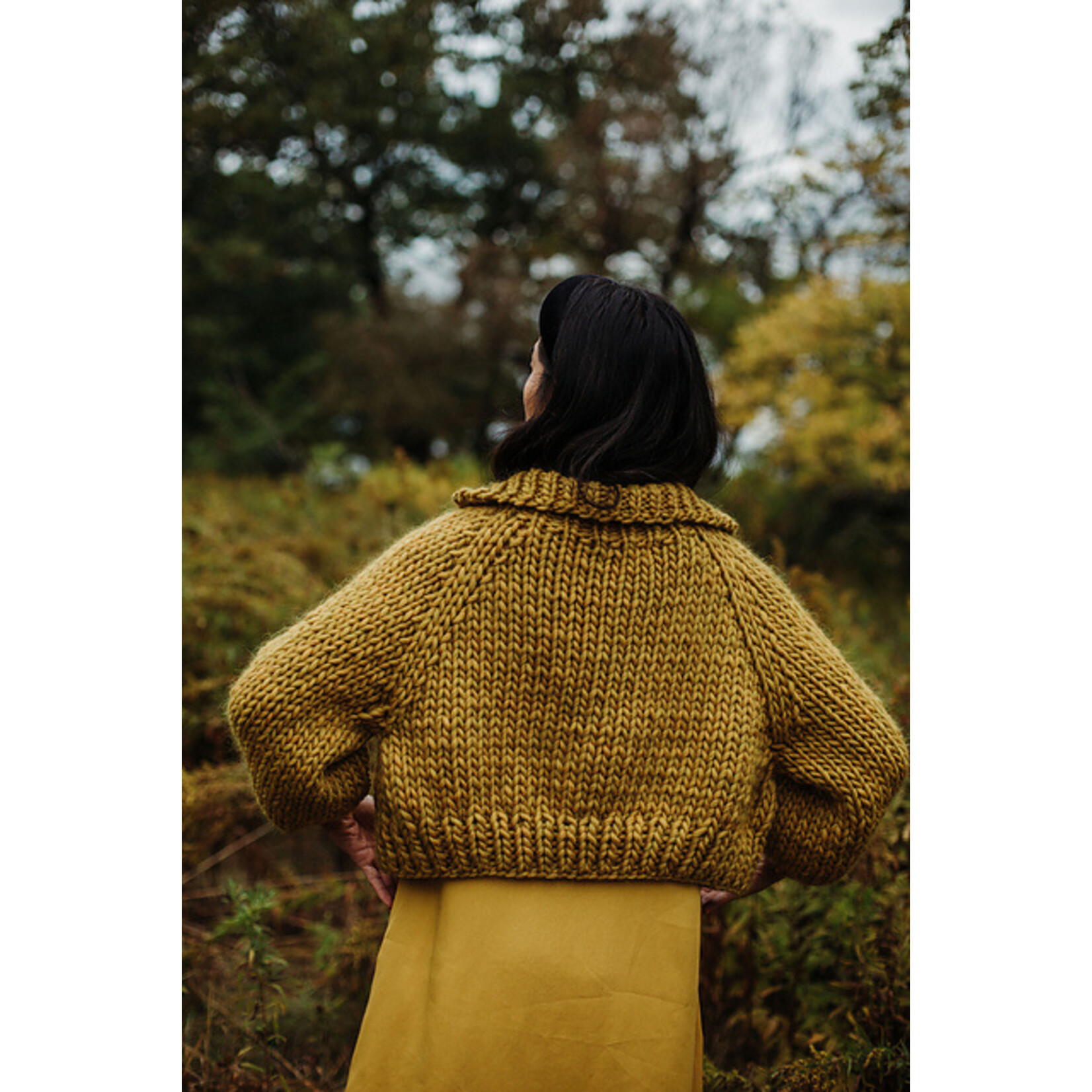 Baaad Anna's Yarn Store Nanaimo Cardigan Class