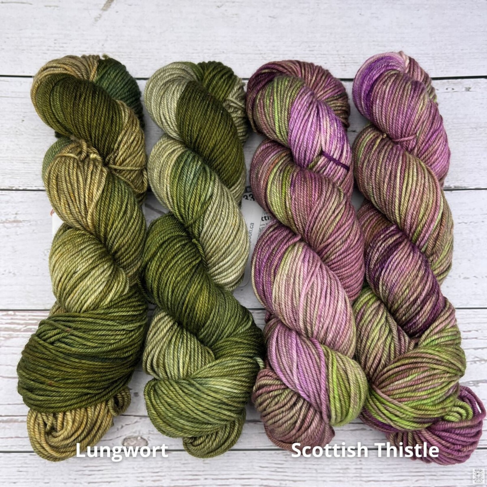 Copper Spoon CopperSpoon Canadian Classic Worsted