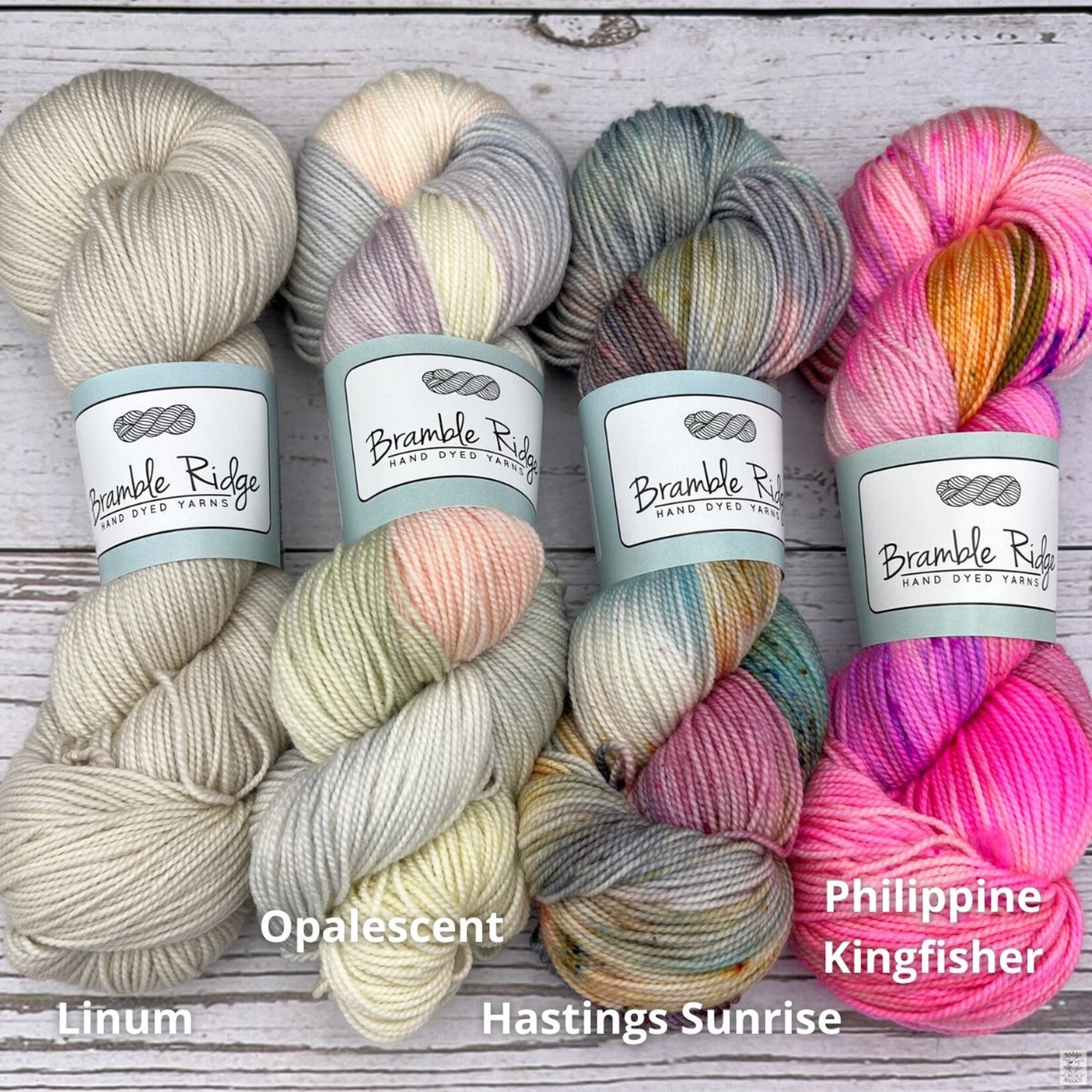 Bramble Ridge Bramble Ridge Sock