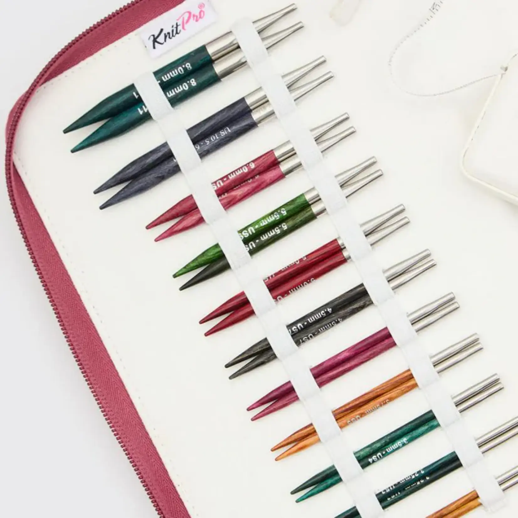 KnitPro KnitPro Dreamz Regal 4" IC Needle Set
