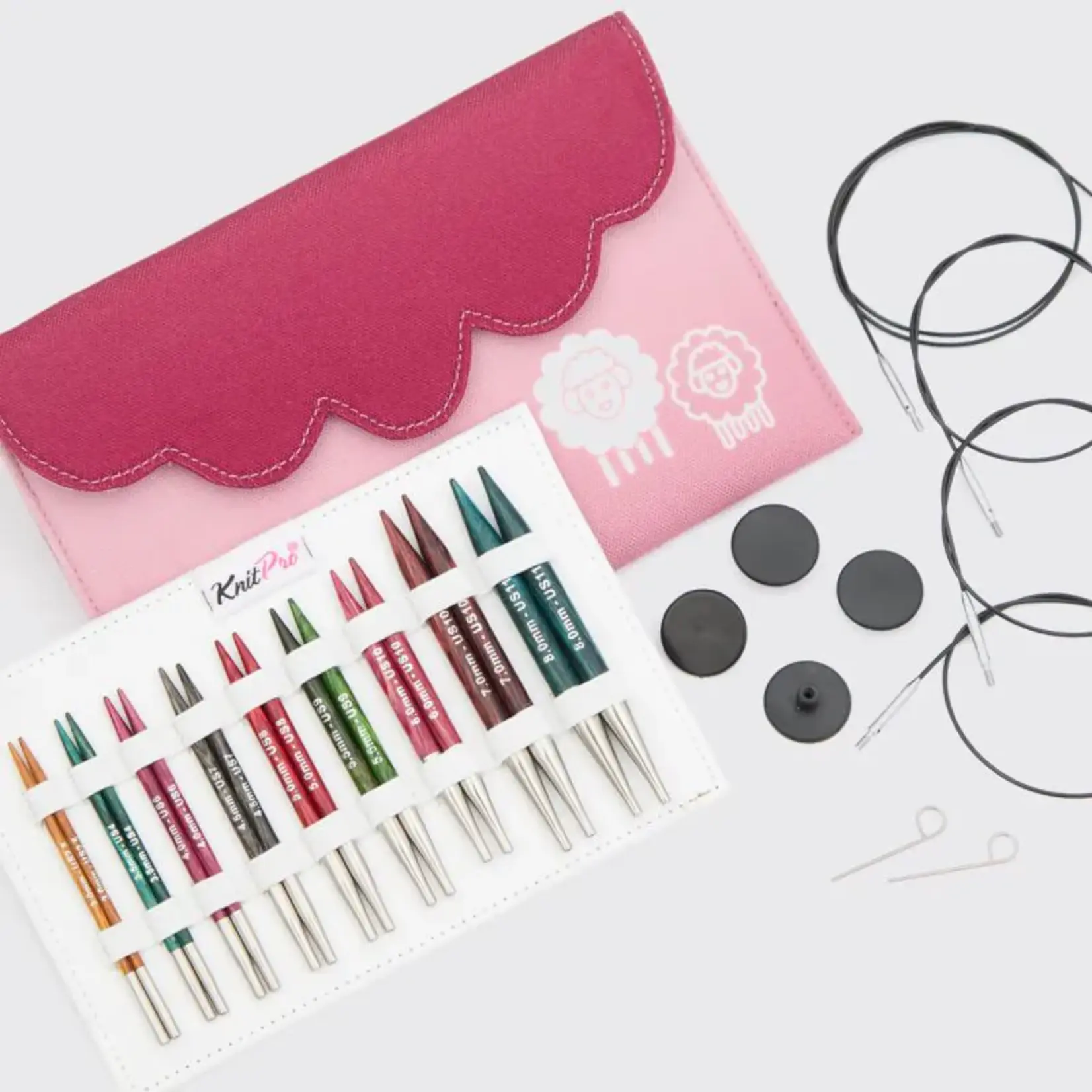 KnitPro KnitPro Dreamz IC 4" Deluxe Set