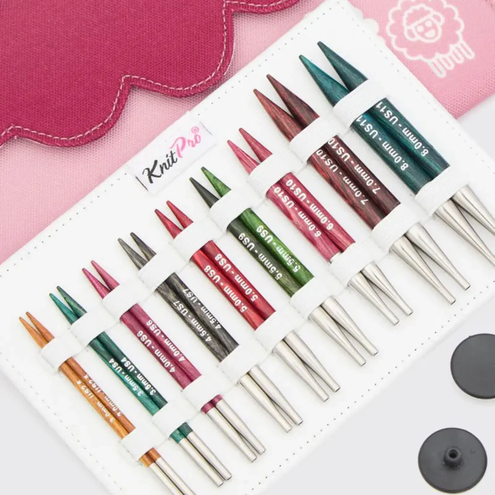 KnitPro KnitPro Dreamz IC 4" Deluxe Set
