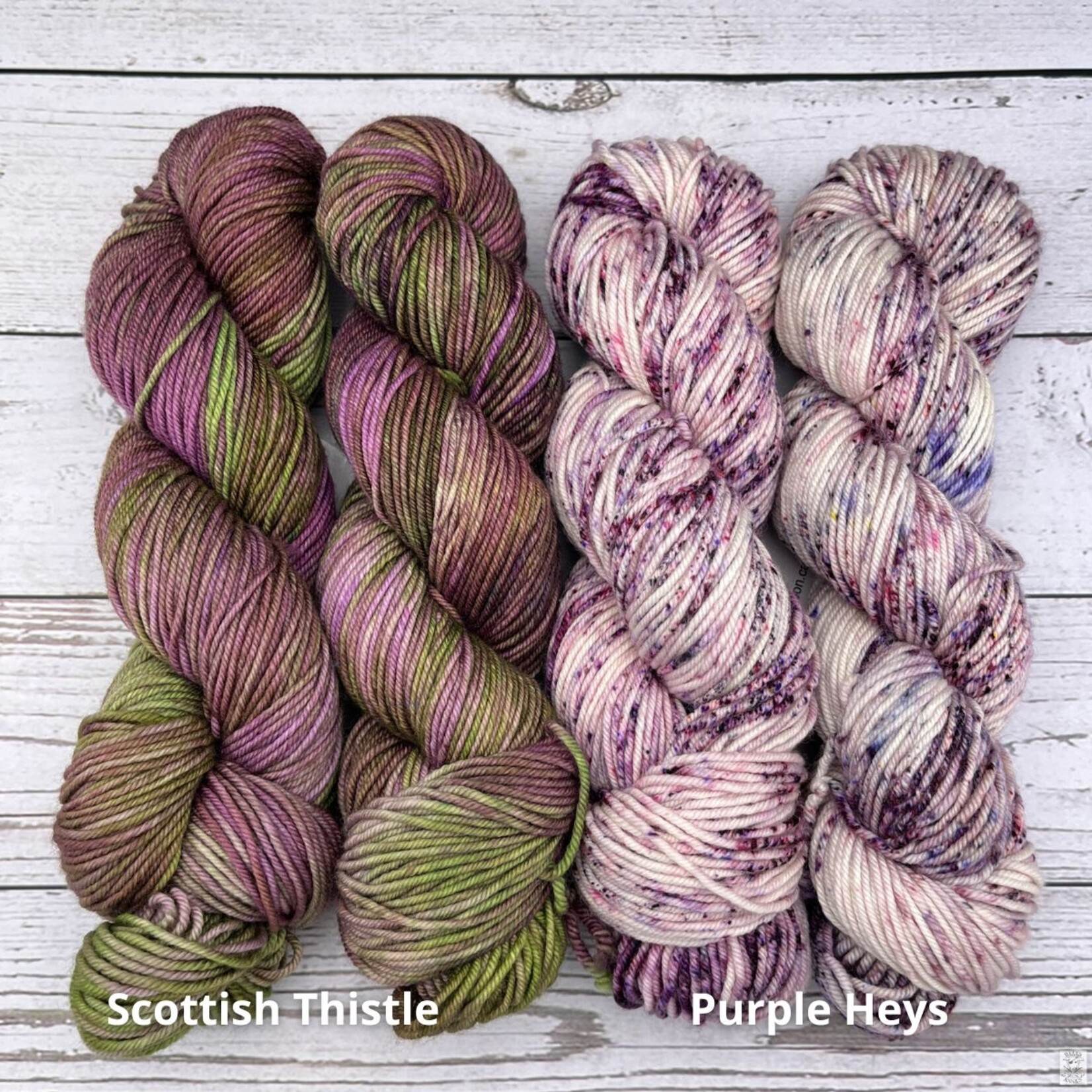 CopperSpoon CopperSpoon Canadian Classic Worsted
