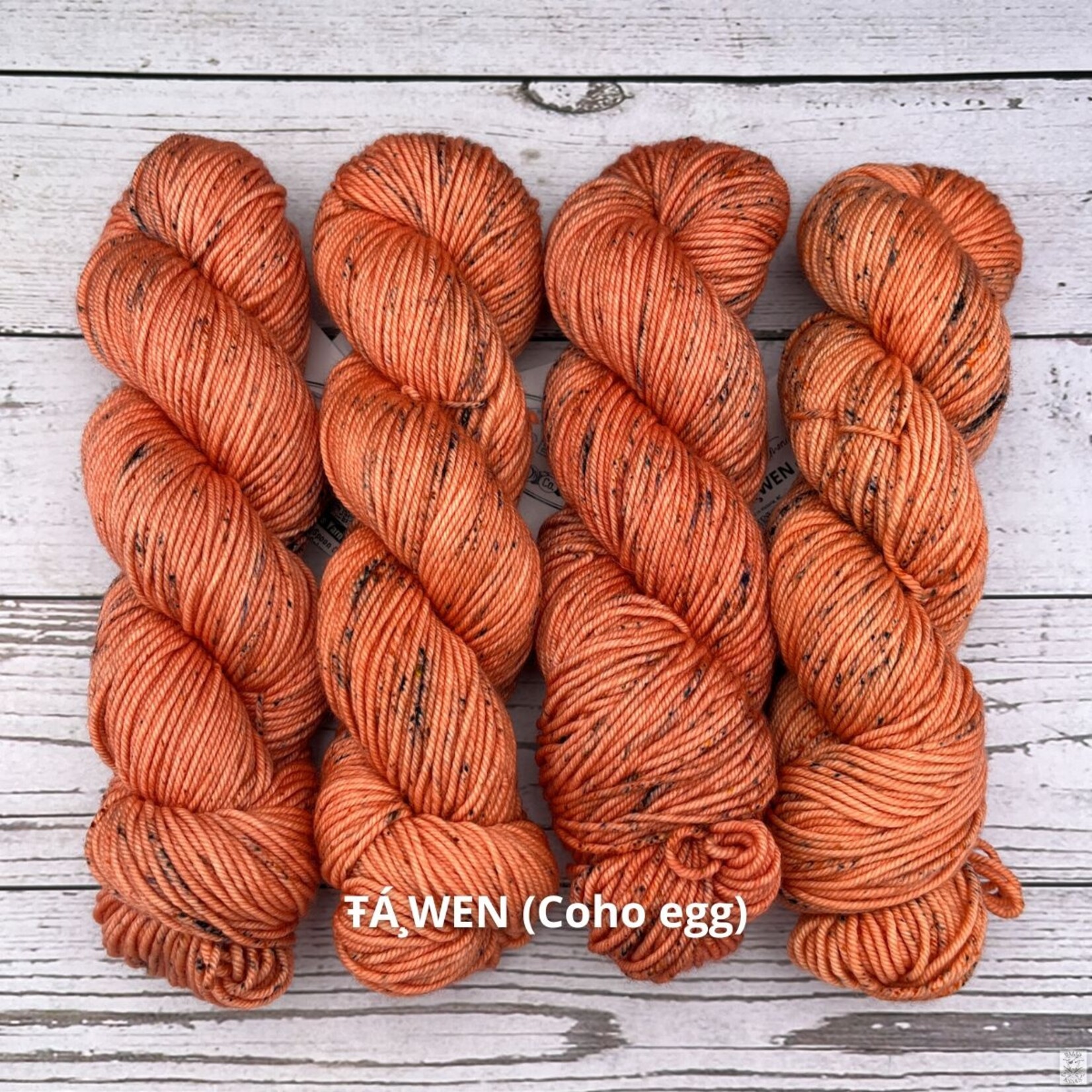 CopperSpoon CopperSpoon Canadian Classic Salmonid Series Worsted