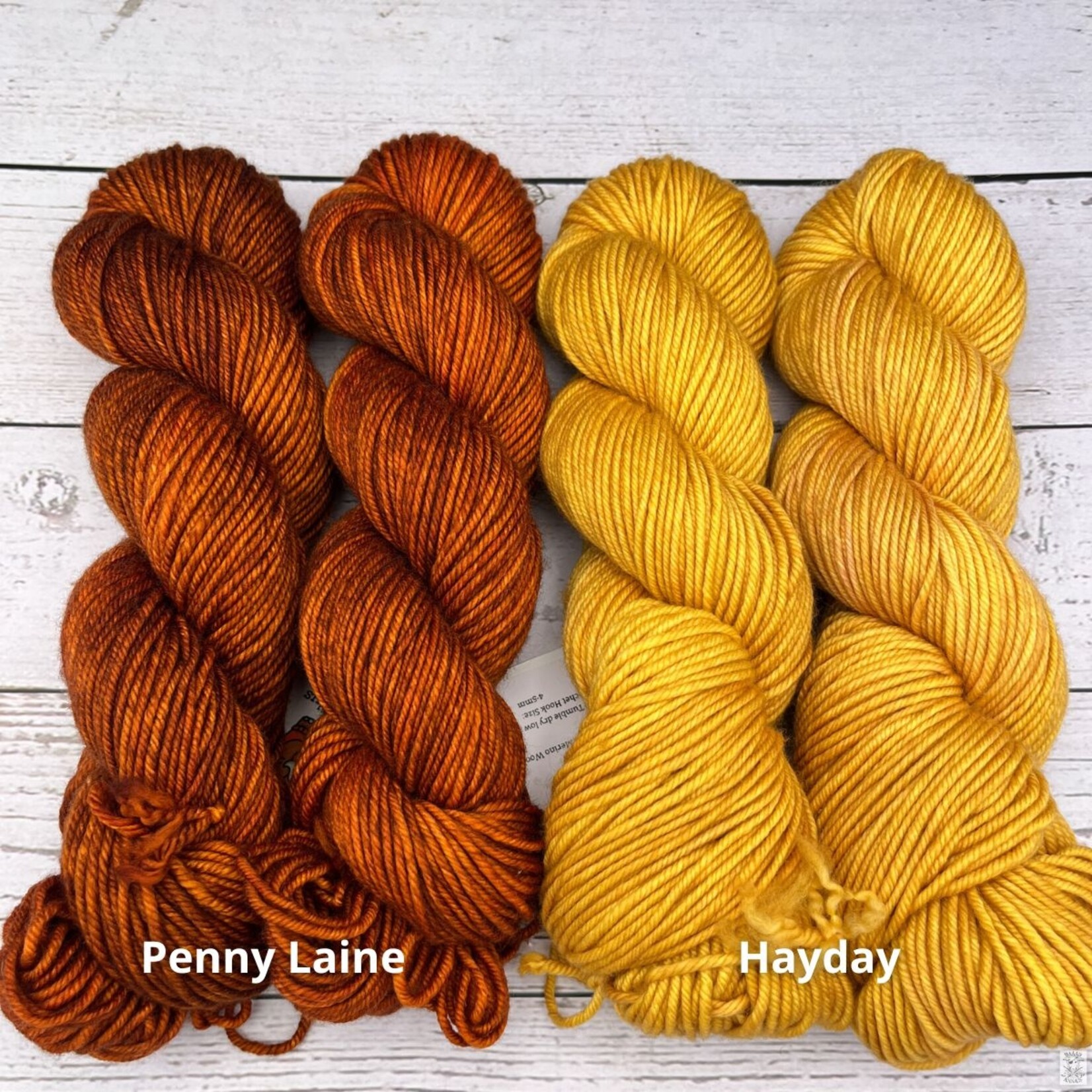Wild Woolly's Wild Woolly's Worsted