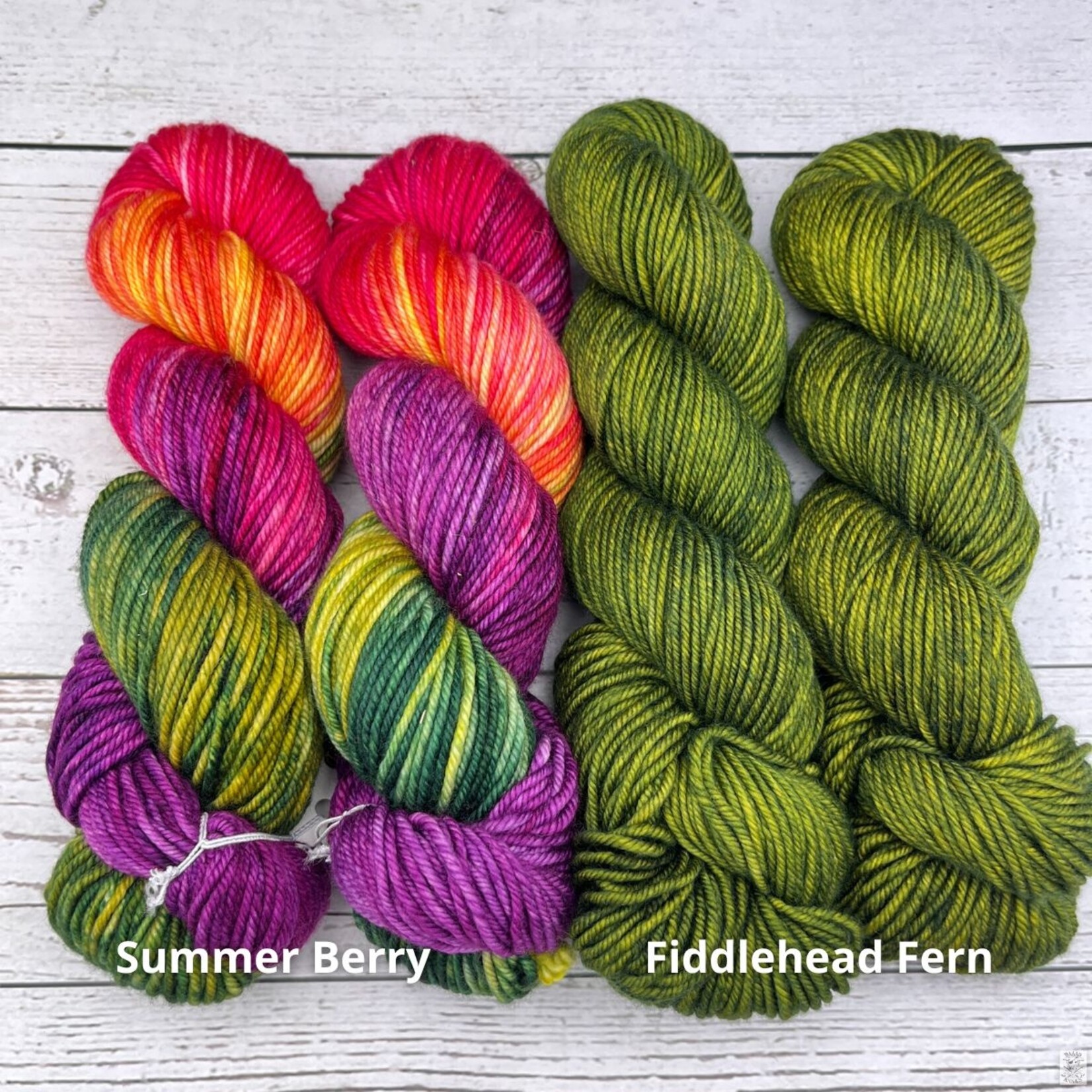 Wild Woolly's Wild Woolly's Worsted