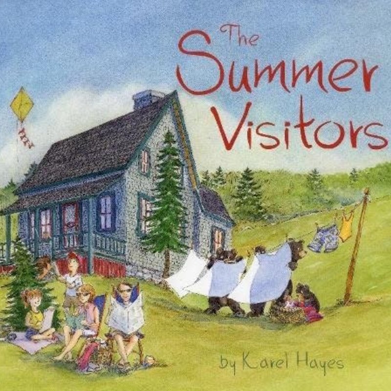 National Book Network ***The Summer Visitors Book