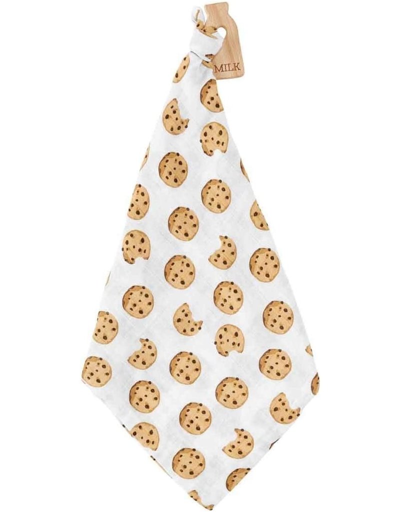 chocolate chip cookie teether