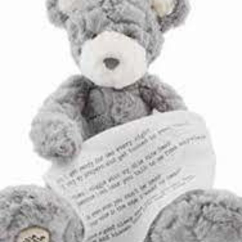 Night Night Bear with Recordable Voice Chip +