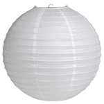 Lantern-Paper-White-1pkg-12"