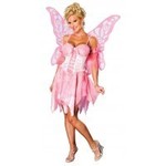 Costume-Sugar Plum Fairy-Adult Small