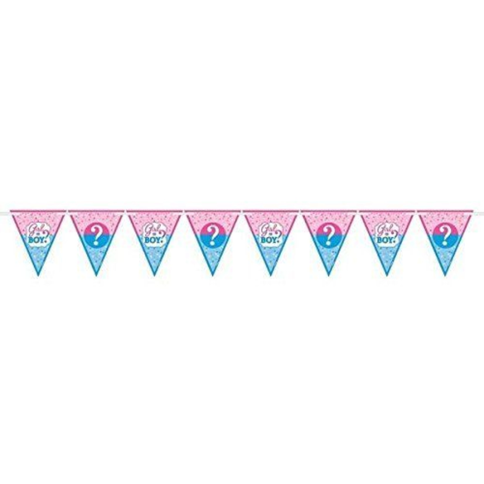 12 Pennant Banner - Baby Shower - Gender Reveal - 15'