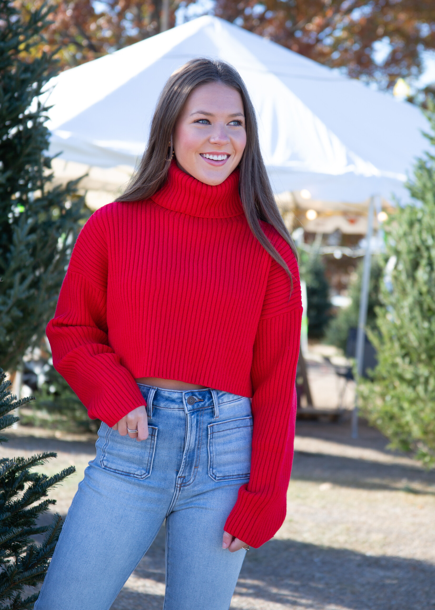 A Simple Solution Loose Fit Turtleneck Cropped Sweater