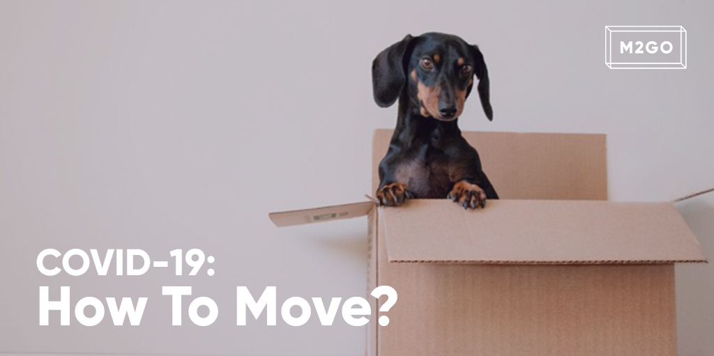 COVID-19 : How to move?