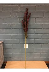Giant Millet Spray, Burgundy