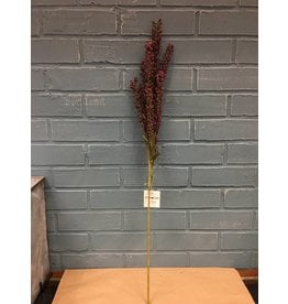 Giant Millet Spray, Burgundy