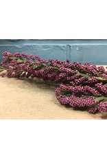 Giant Millet Spray, Burgundy