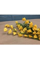 Yellow Lily of the Valley Pick