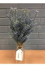 Bursting Astilbe Bush, Sky Blue