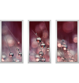 Picture Perfect International "Cactus Wine Drops" by Sharon Johnstone 3 Piece Framed Photographic Print Set