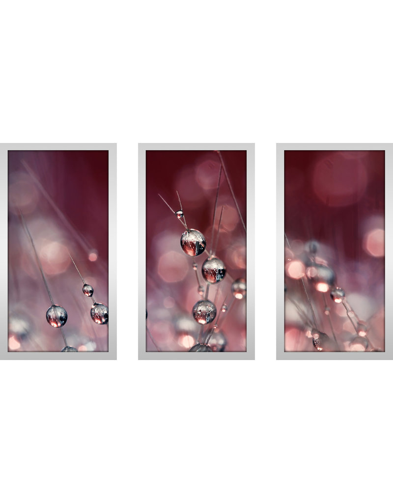 Picture Perfect International "Cactus Wine Drops" by Sharon Johnstone 3 Piece Framed Photographic Print Set