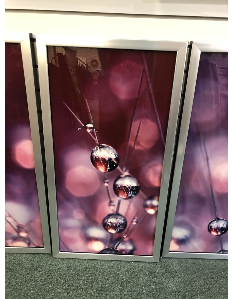 Picture Perfect International "Cactus Wine Drops" by Sharon Johnstone 3 Piece Framed Photographic Print Set