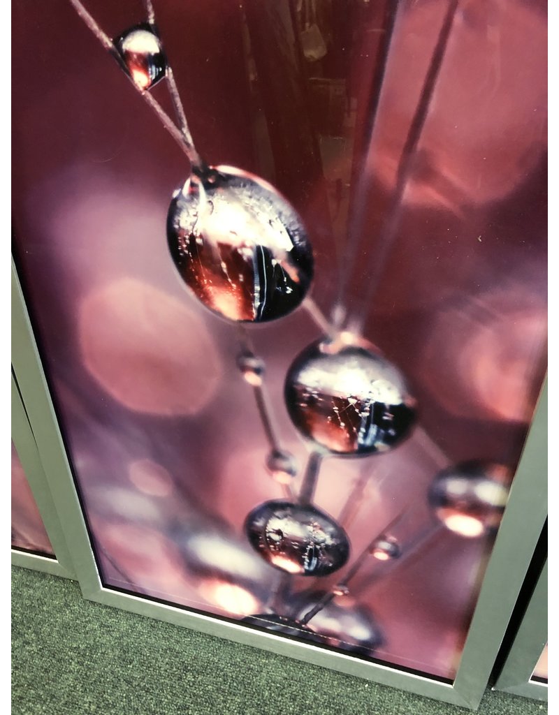 Picture Perfect International "Cactus Wine Drops" by Sharon Johnstone 3 Piece Framed Photographic Print Set